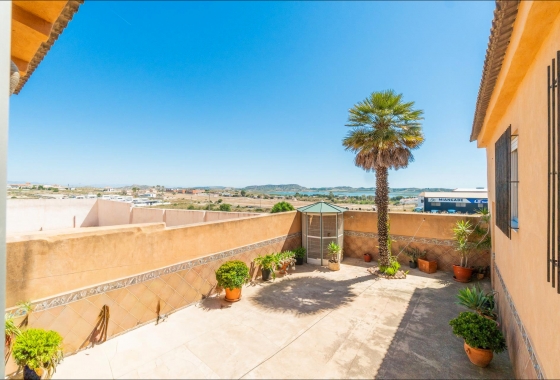 Reventa - Pareado - San Miguel de Salinas - Torremendo