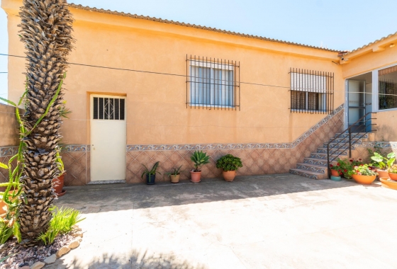 Reventa - Pareado - San Miguel de Salinas - Torremendo