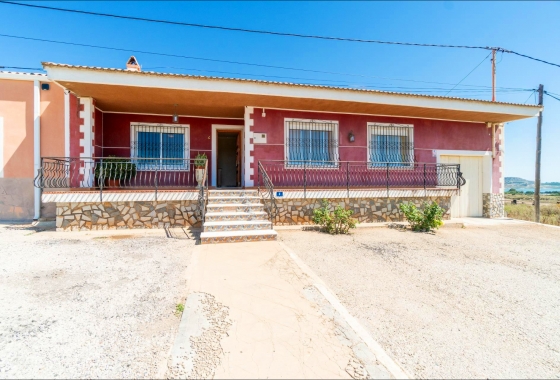 Reventa - Pareado - San Miguel de Salinas - Torremendo