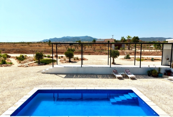 Reventa - Villa - Pinoso