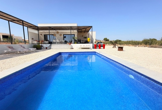Reventa - Villa - Pinoso