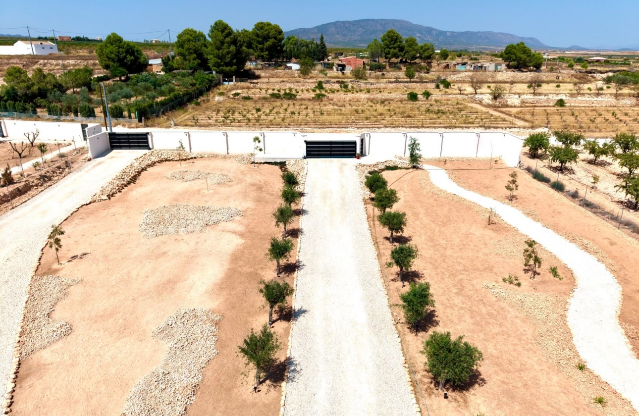 Reventa - Villa - Pinoso