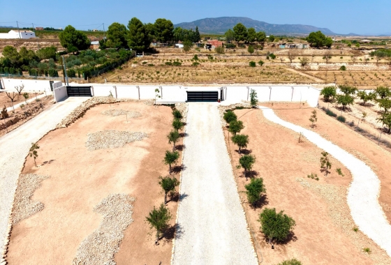 Reventa - Villa - Pinoso