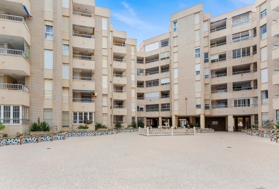 Rynek wtórny - Apartament - Torrevieja - Playa de los Locos