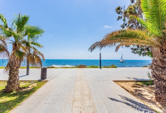 Rynek wtórny - Apartament - Torrevieja - Playa de los Locos