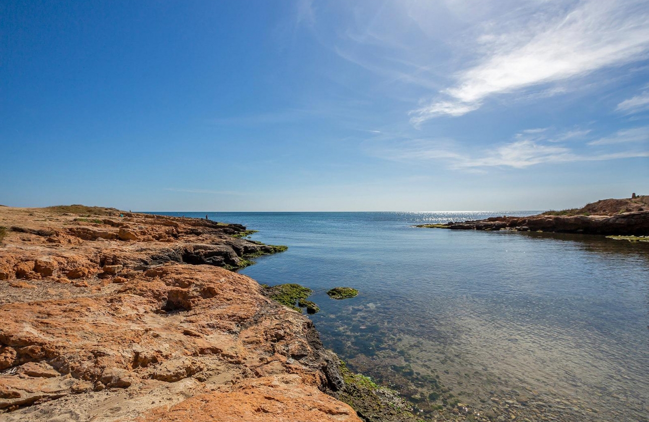 Rynek wtórny - Apartament - Torrevieja - Estacion de autobuses