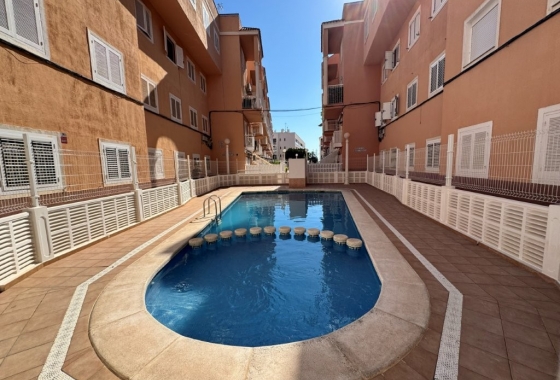Rynek wtórny - Apartament - Torrevieja - Puerto Romano