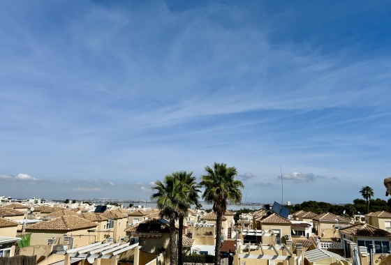 Rynek wtórny - Apartament - Torrevieja - Dream Hills