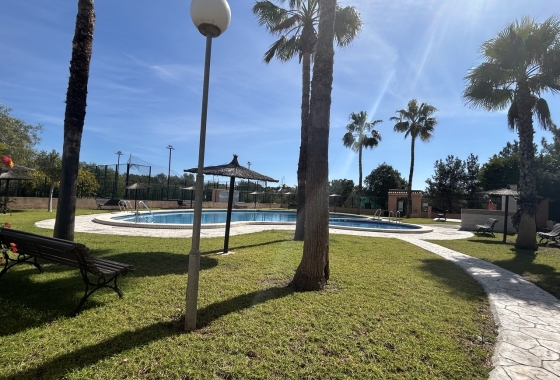Rynek wtórny - Apartament - Torrevieja - Dream Hills