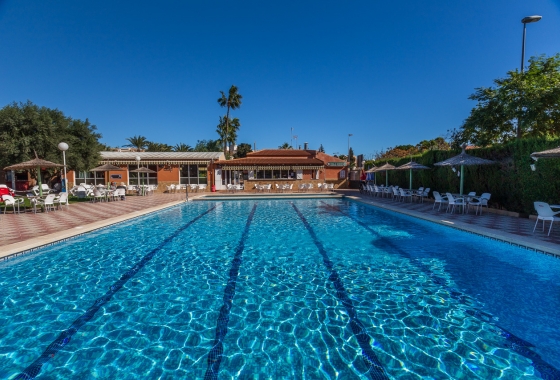 Resale - Penthouse - Torre de la Horadada - Riomar