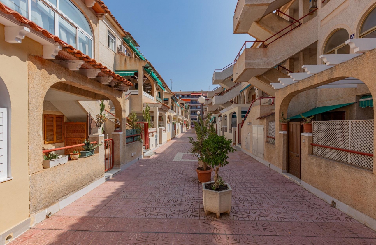 Resale - Apartment - Torrevieja - Acequion