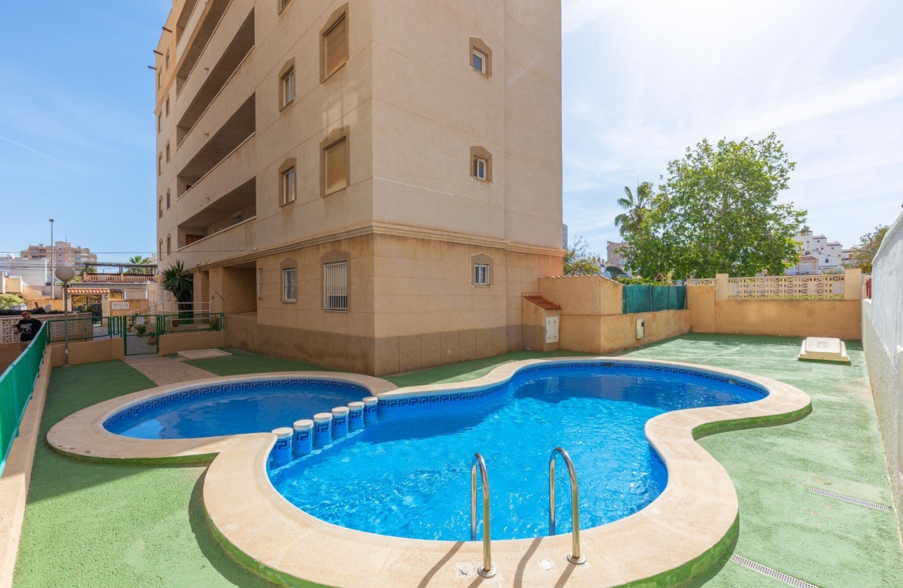 Rynek wtórny - Apartament - Torrevieja - Nueva Torrevieja