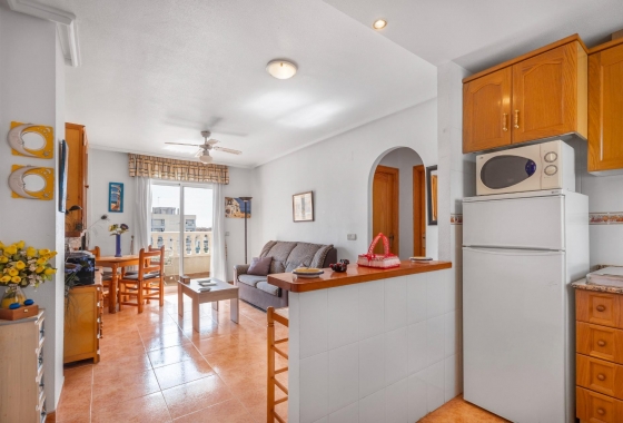 Rynek wtórny - Apartament - Torrevieja - Nueva Torrevieja
