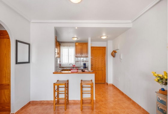 Rynek wtórny - Apartament - Torrevieja - Nueva Torrevieja