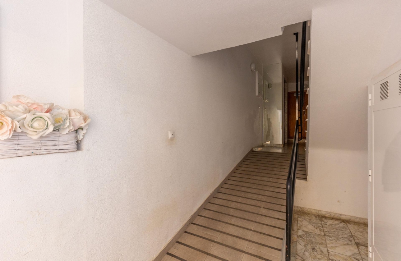 Rynek wtórny - Apartament - Torrevieja - Nueva Torrevieja