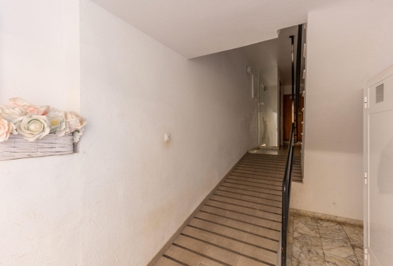 Rynek wtórny - Apartament - Torrevieja - Nueva Torrevieja