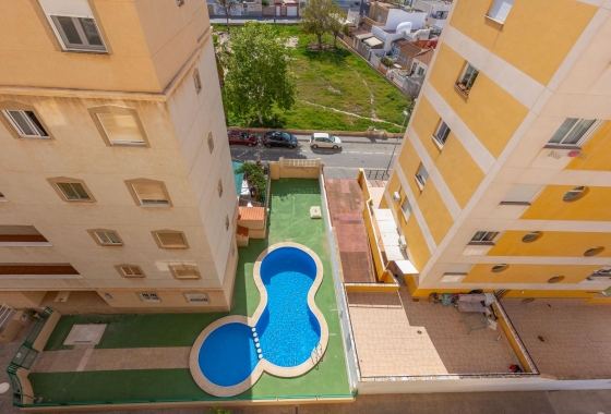 Rynek wtórny - Apartament - Torrevieja - Nueva Torrevieja