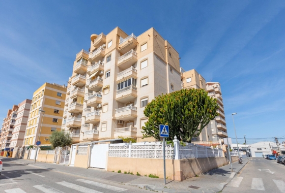 Rynek wtórny - Apartament - Torrevieja - Nueva Torrevieja