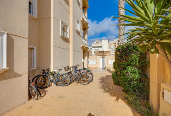 Resale - Apartment - Torrevieja - Nueva Torrevieja - Aguas Nuevas