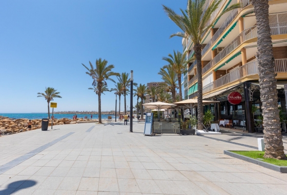 Resale - Apartment - Torrevieja - Paseo maritimo