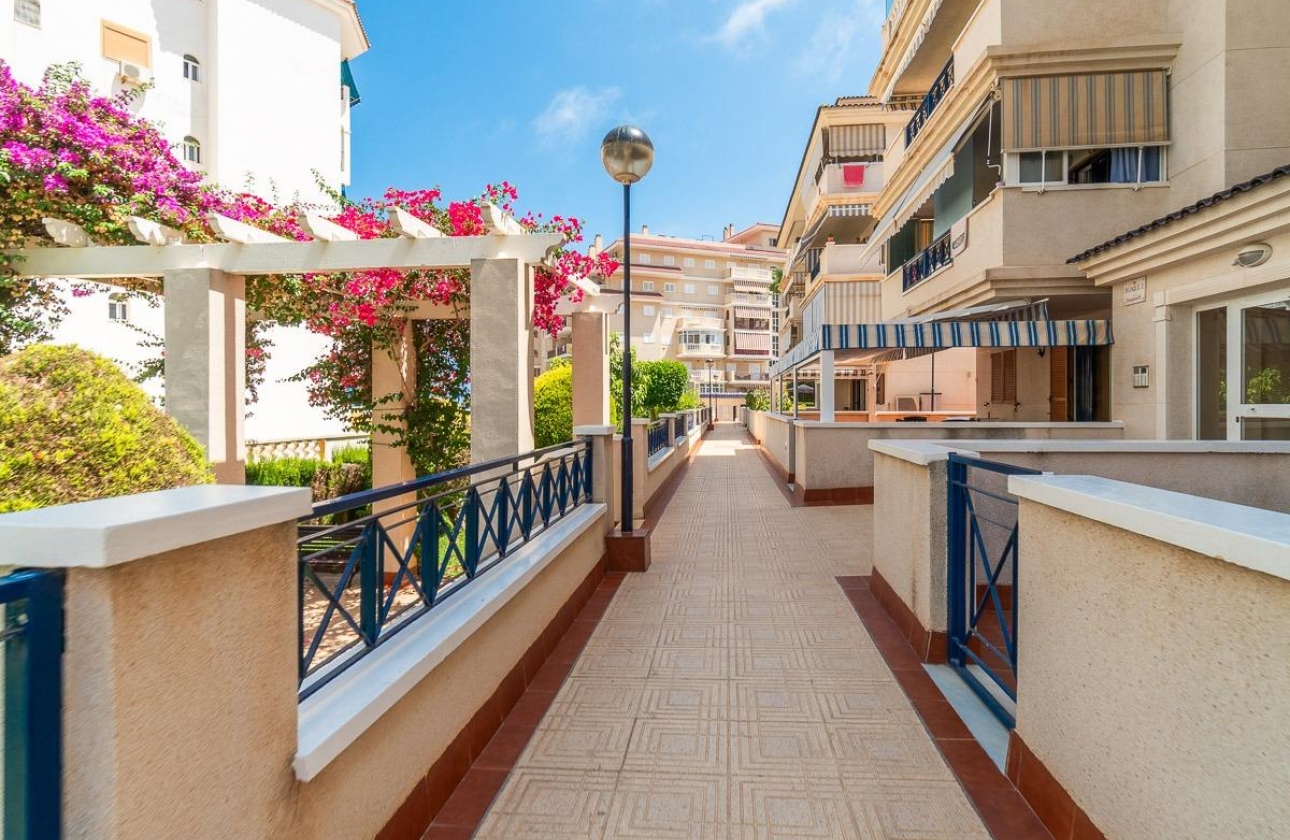 Wynajem długoterminowy - Apartament - Torrevieja - La Mata