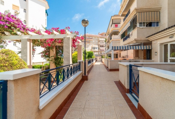 Wynajem długoterminowy - Apartament - Torrevieja - La Mata