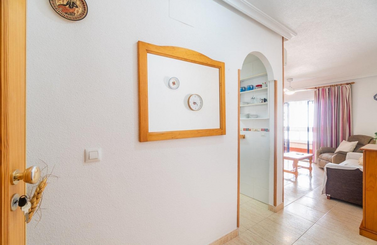 Wynajem długoterminowy - Apartament - Torrevieja - La Mata