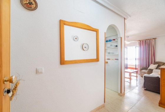 Wynajem długoterminowy - Apartament - Torrevieja - La Mata