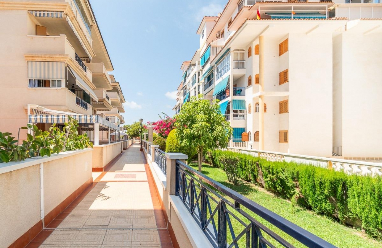Wynajem długoterminowy - Apartament - Torrevieja - La Mata