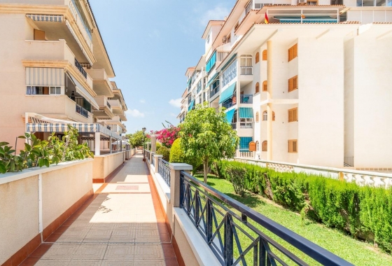 Wynajem długoterminowy - Apartament - Torrevieja - La Mata