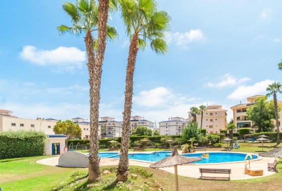 Wynajem długoterminowy - Apartament - Torrevieja - La Mata