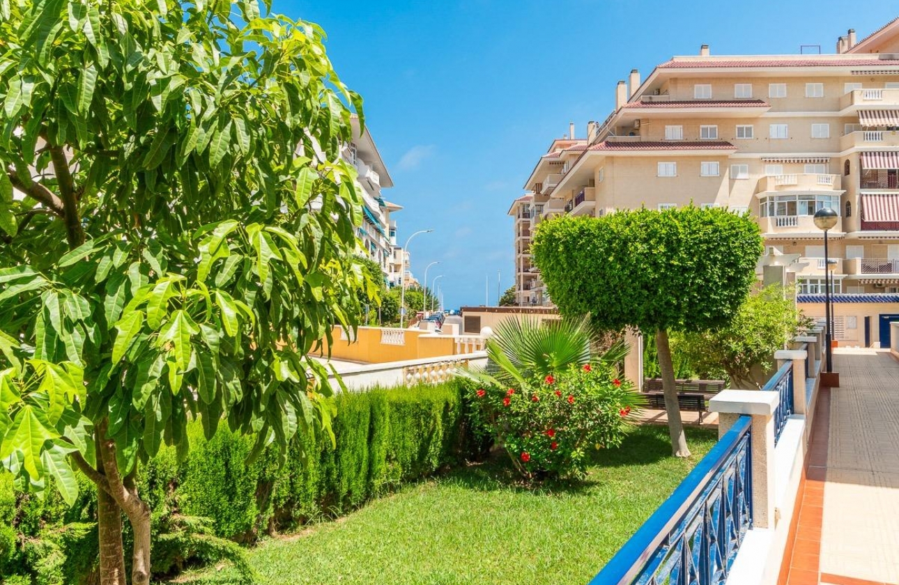 Wynajem długoterminowy - Apartament - Torrevieja - La Mata
