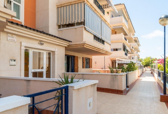 Wynajem długoterminowy - Apartament - Torrevieja - La Mata