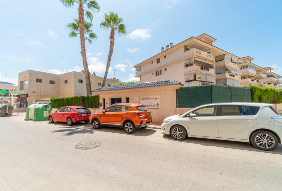 Wynajem długoterminowy - Apartament - Torrevieja - La Mata