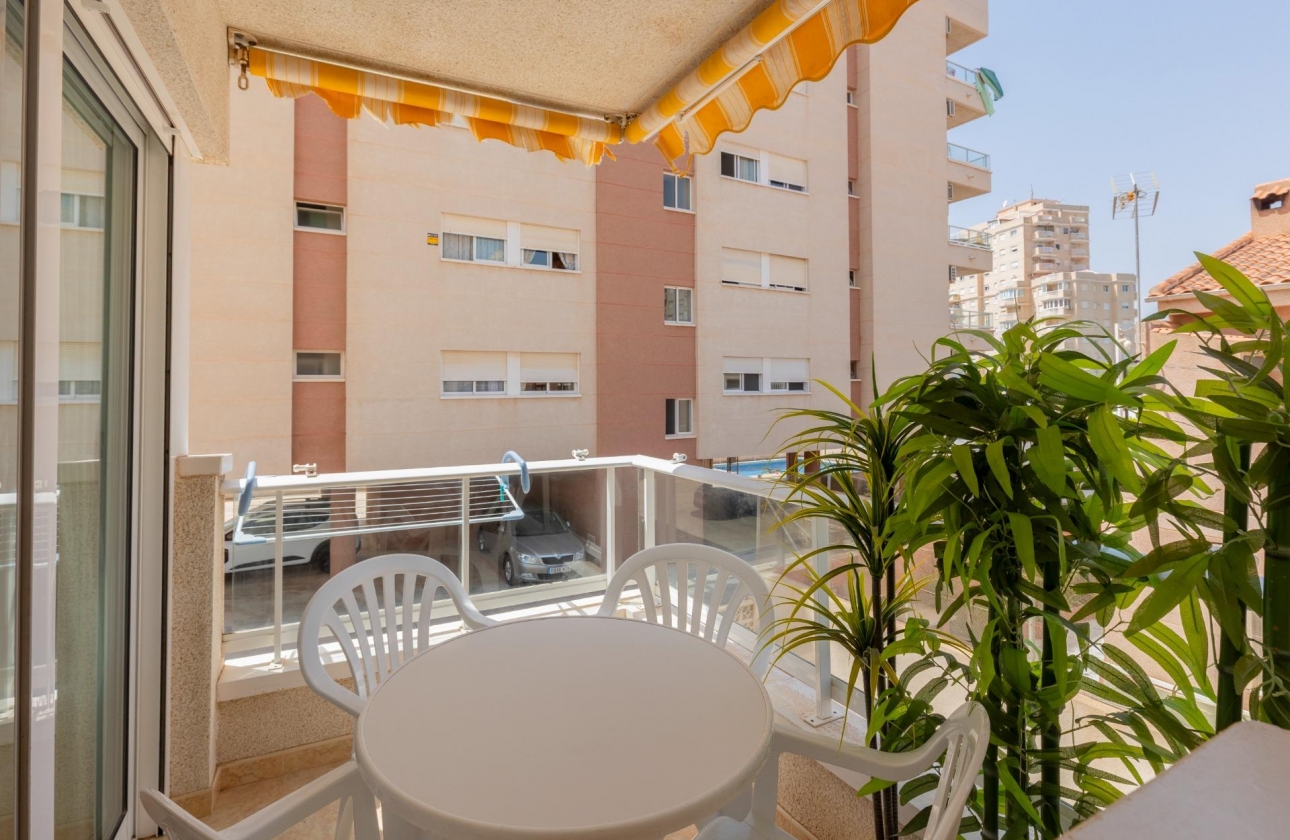 Rynek wtórny - Apartament - Torrevieja - Nueva Torrevieja