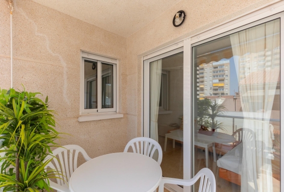 Rynek wtórny - Apartament - Torrevieja - Nueva Torrevieja