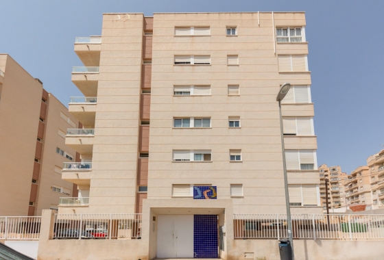 Rynek wtórny - Apartament - Torrevieja - Nueva Torrevieja
