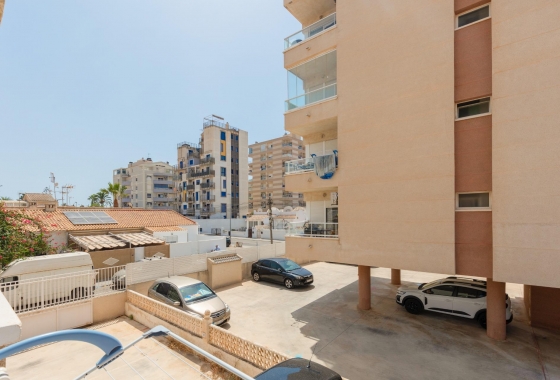 Rynek wtórny - Apartament - Torrevieja - Nueva Torrevieja