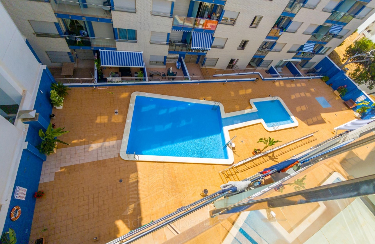 Resale - Apartment - Torrevieja - Playa de los Locos