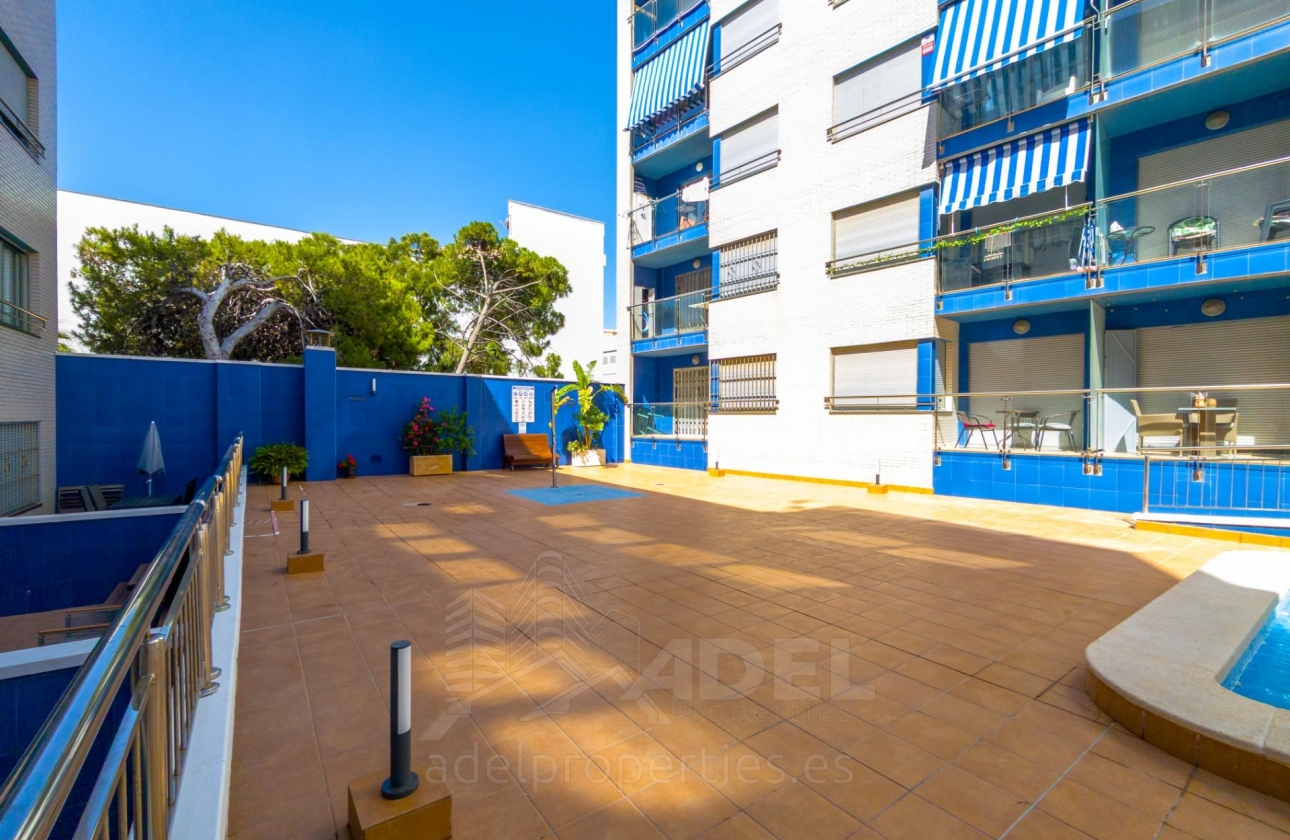 Resale - Apartment - Torrevieja - Playa de los Locos