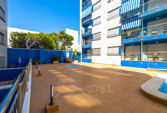 Resale - Apartment - Torrevieja - Playa de los Locos