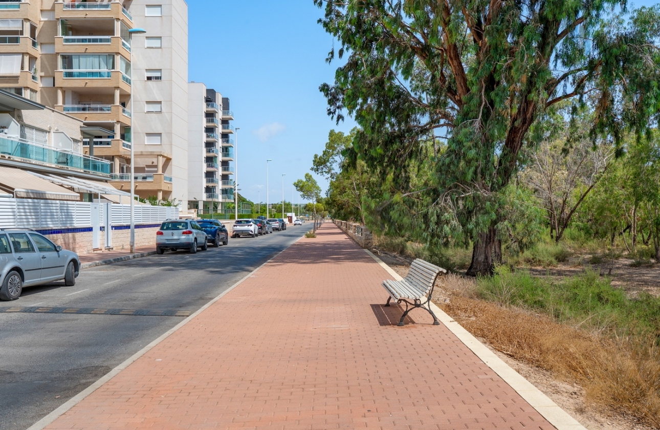 Resale - Apartment - Guardamar del Segura - Guardamar