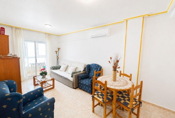 Rynek wtórny - Apartament - Torrevieja - Estacion de autobuses