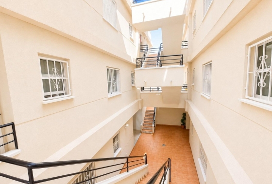Rynek wtórny - Apartament - Torrevieja - Estacion de autobuses