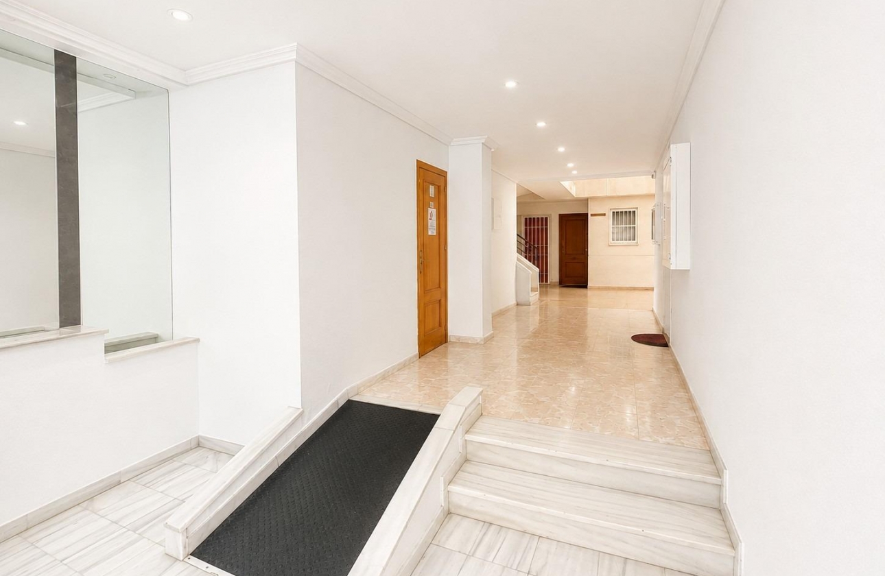 Rynek wtórny - Apartament - Torrevieja - Estacion de autobuses