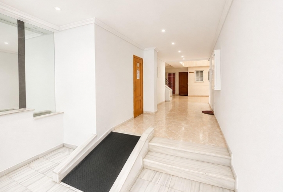 Rynek wtórny - Apartament - Torrevieja - Estacion de autobuses