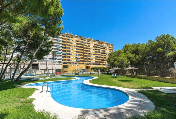 Resale - Apartment - Orihuela Costa - Altos de Campoamor