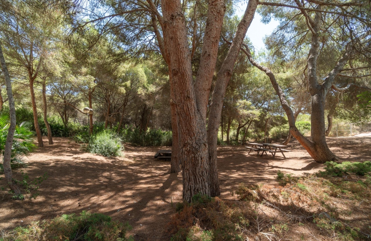 Resale - Apartment - Orihuela Costa - Altos de Campoamor