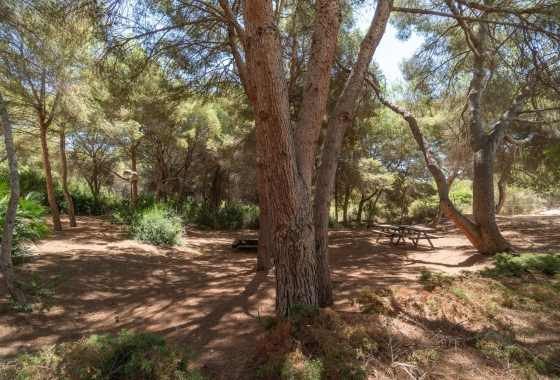 Resale - Apartment - Orihuela Costa - Altos de Campoamor