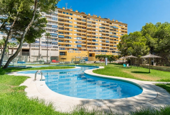 Resale - Apartment - Orihuela Costa - Altos de Campoamor